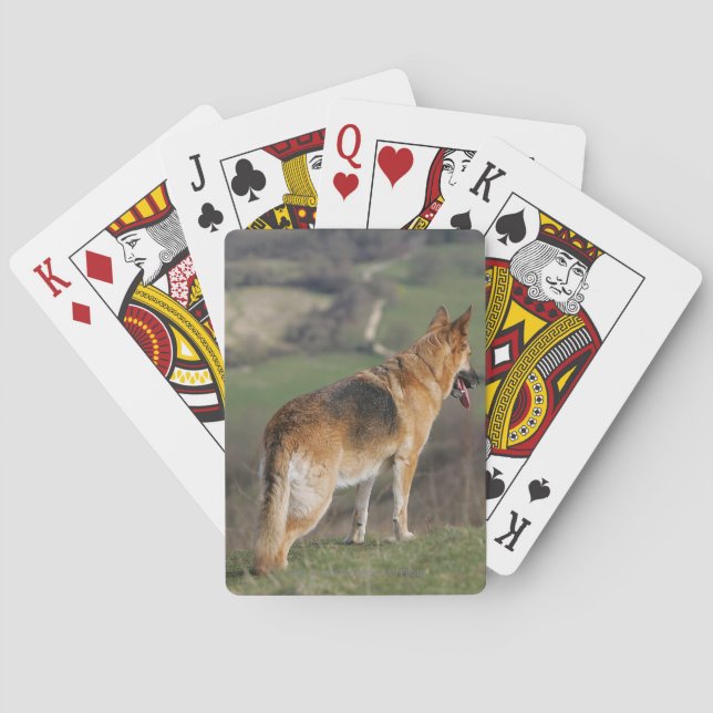 German Shephard Looking Down Hill Playing Cards (Back)