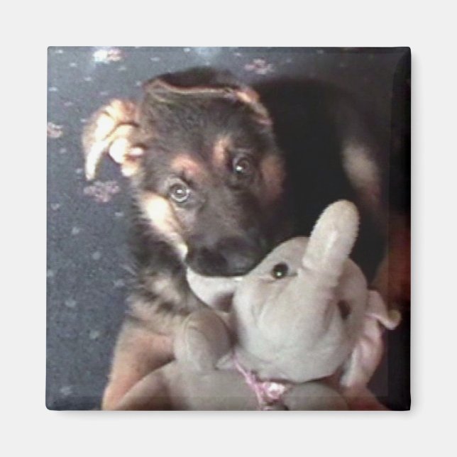 German Shephard Puppy Magnet (Front)