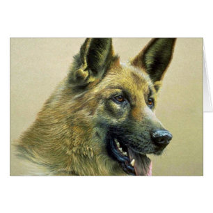 German Shepherd