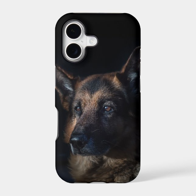 German Shepherd (Back)