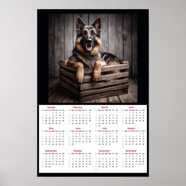 German Shepherd 2025 Calendar  Poster (Front)