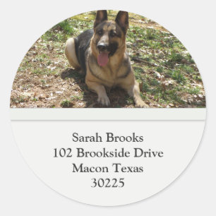 German Shepherd Address Labels