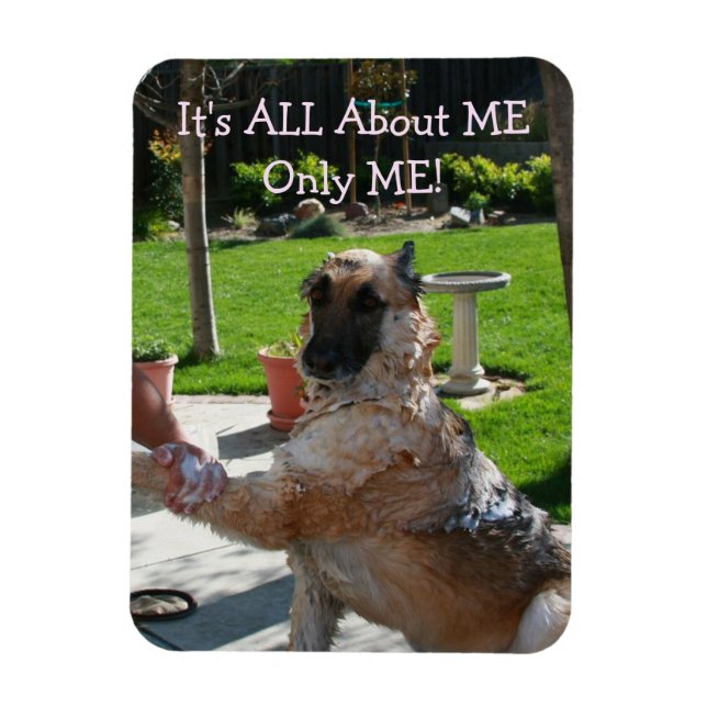German Shepherd All About Me Magnet (Vertical)