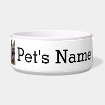 German Shepherd, Alsation. Your dog's name.