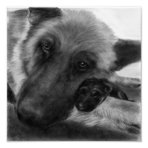 German Shepherd and pup Photo Print