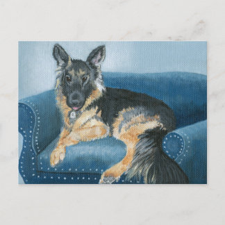 German Shepherd Angus Postcard