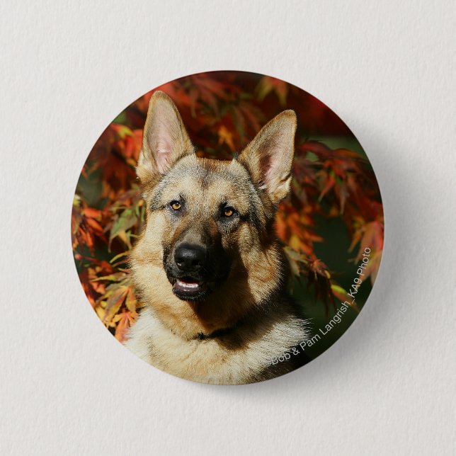 German Shepherd Autumn Leaves 6 Cm Round Badge (Front)