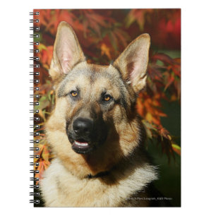 German Shepherd Autumn Leaves Notebook