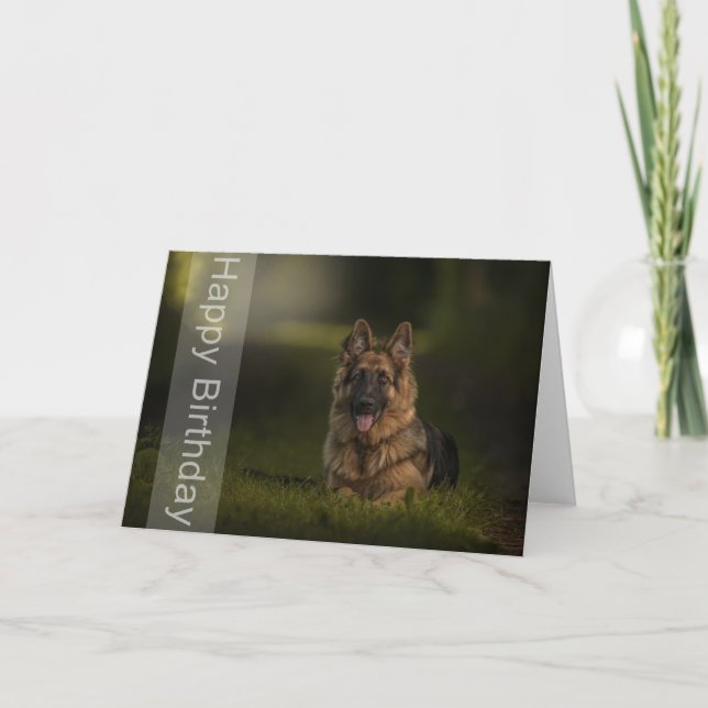 german shepherd birthday card (Front)