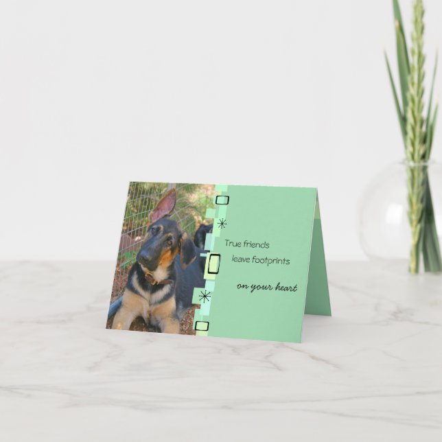 German Shepherd Birthday Greeting Card (Front)