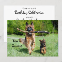 German Shepherd Birthday