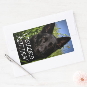 German Shepherd Black Spoiled Rotten Rectangular Sticker