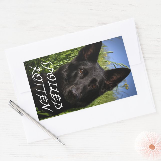German Shepherd Black Spoiled Rotten Rectangular Sticker (Envelope)