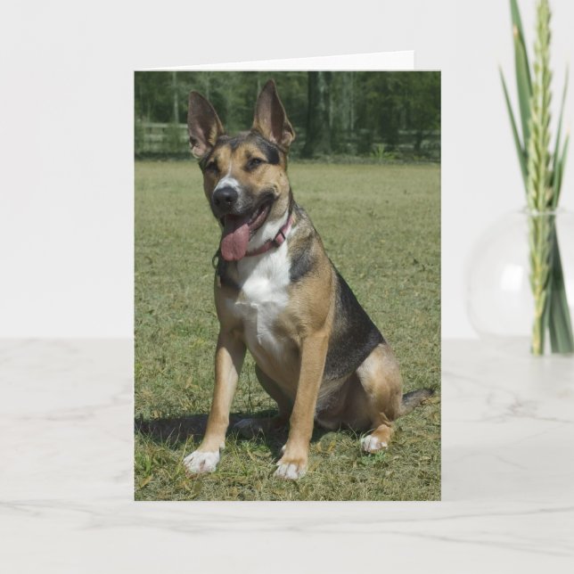 German Shepherd Blank Note Card (Front)