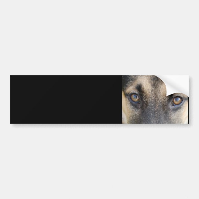 German Shepherd Bumper Sticker (Front)
