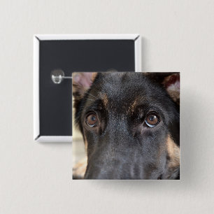 German Shepherd by Shirley Taylor 15 Cm Square Badge