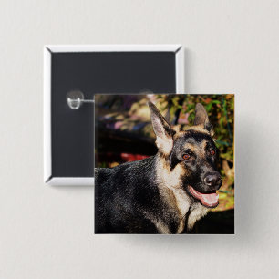 German Shepherd by Shirley Taylor 15 Cm Square Badge