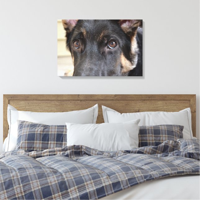 German Shepherd by Shirley Taylor Canvas Print (Insitu(Bedroom))