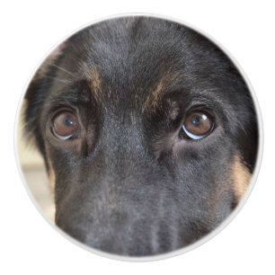German Shepherd by Shirley Taylor Ceramic Knob