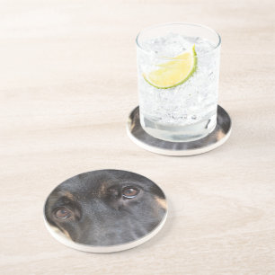 German Shepherd by Shirley Taylor Coaster
