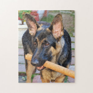 Solve Beautiful German Shepherd..talk about alert! jigsaw