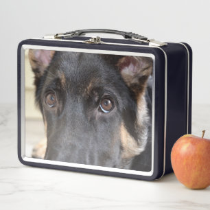 German Shepherd by Shirley Taylor Metal Lunch Box