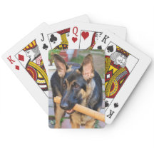 German Shepherd by Shirley Taylor