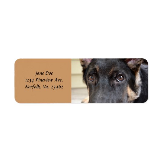 German Shepherd by Shirley Taylor Return Address Label