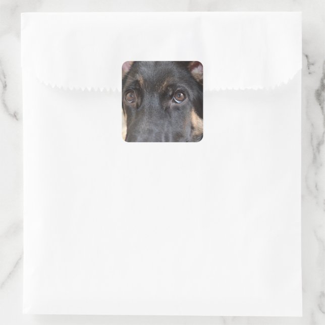 German Shepherd by Shirley Taylor Square Sticker (Bag)