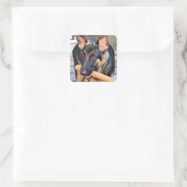 German Shepherd by Shirley Taylor Square Sticker (Bag)