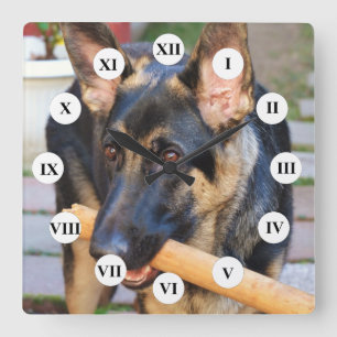 German Shepherd by Shirley Taylor Square Wall Clock