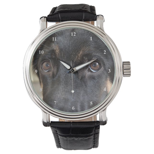 German Shepherd by Shirley Taylor Watch (Front)