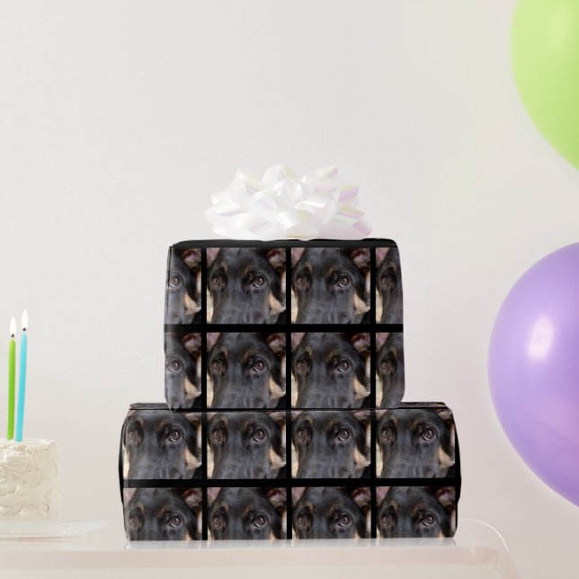 German Shepherd by Shirley Taylor Wrapping Paper (Party Gifts)