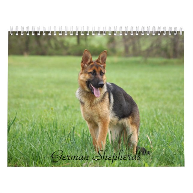 German Shepherd Calendar (Cover)
