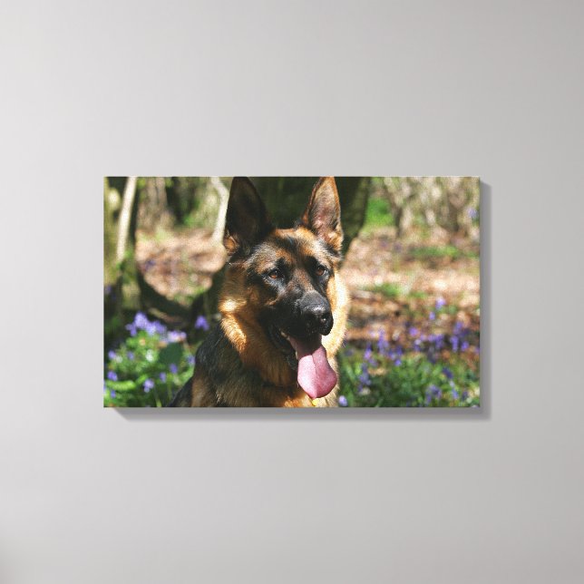 German Shepherd Canvas Print (Front)