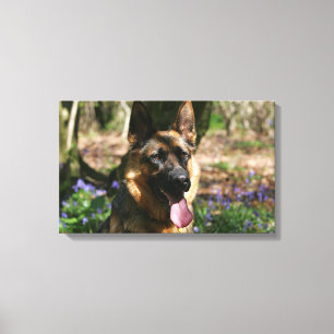 German Shepherd Canvas Print