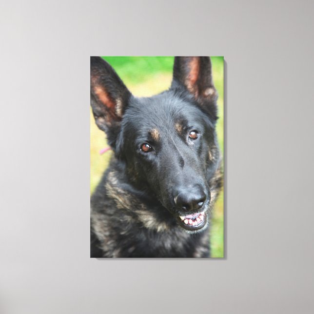 German Shepherd Canvas Print (Front)