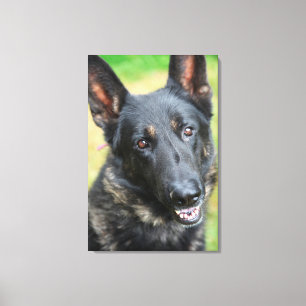 German Shepherd Canvas Print