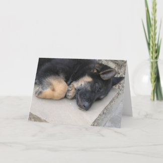 German Shepherd Card