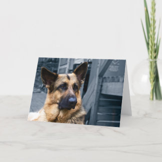 German Shepherd Card