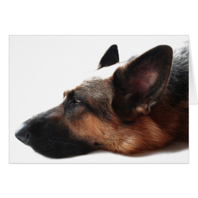German Shepherd Card (Front Horizontal)