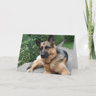 German Shepherd Card