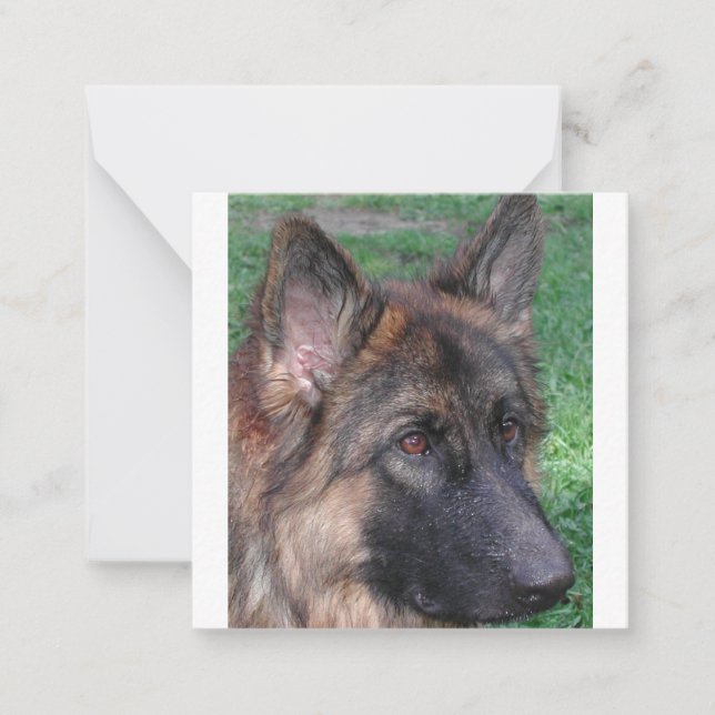 german shepherd card (Front)