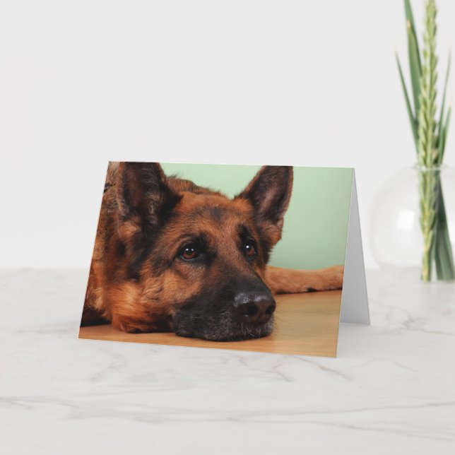 German shepherd card (Front)