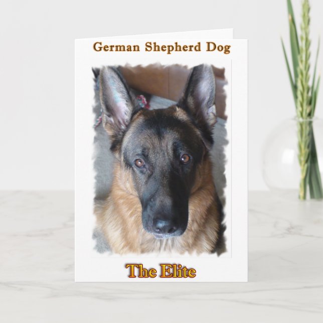 German Shepherd Card (Front)