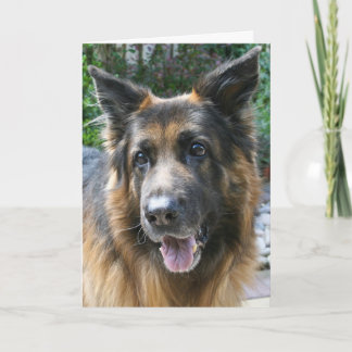 German Shepherd Card