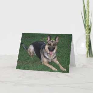 German Shepherd Card