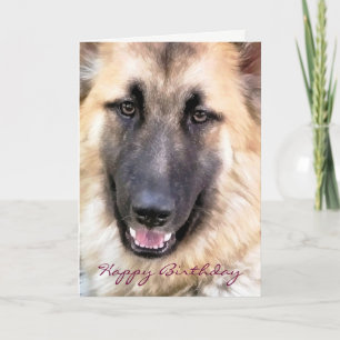 GERMAN SHEPHERD CARD