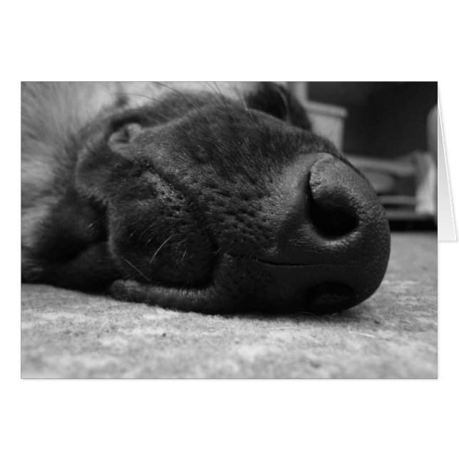 German Shepherd Card (Front Horizontal)