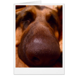 German Shepherd Card